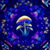 closeup mushroom bloom flow star in uv light