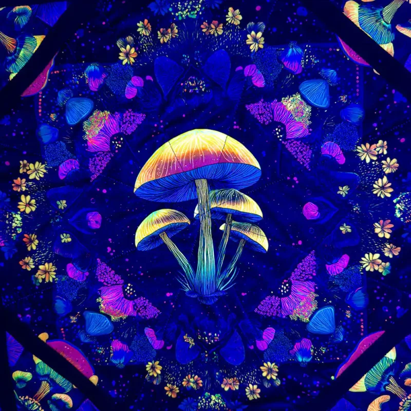 closeup mushroom bloom flow star in uv light